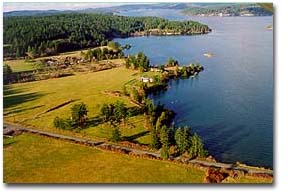 fow1.jpg - 20955 Bytes